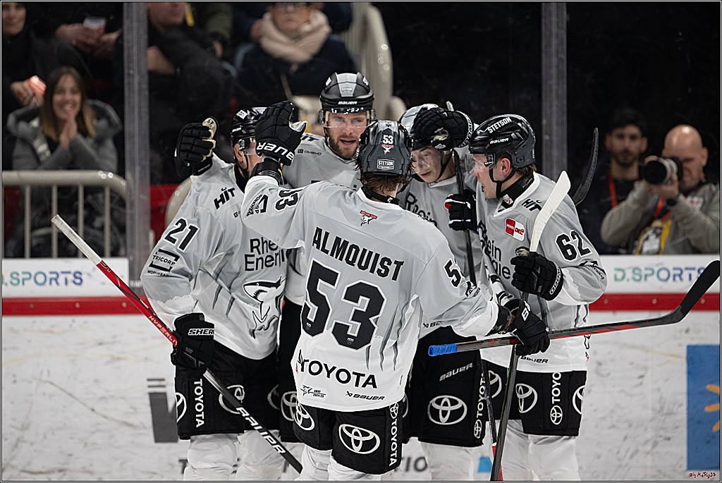 PENNY DEL 1; Düsseldorfer EG - Kölner Haie; Düsseldorf, 24.01.2025